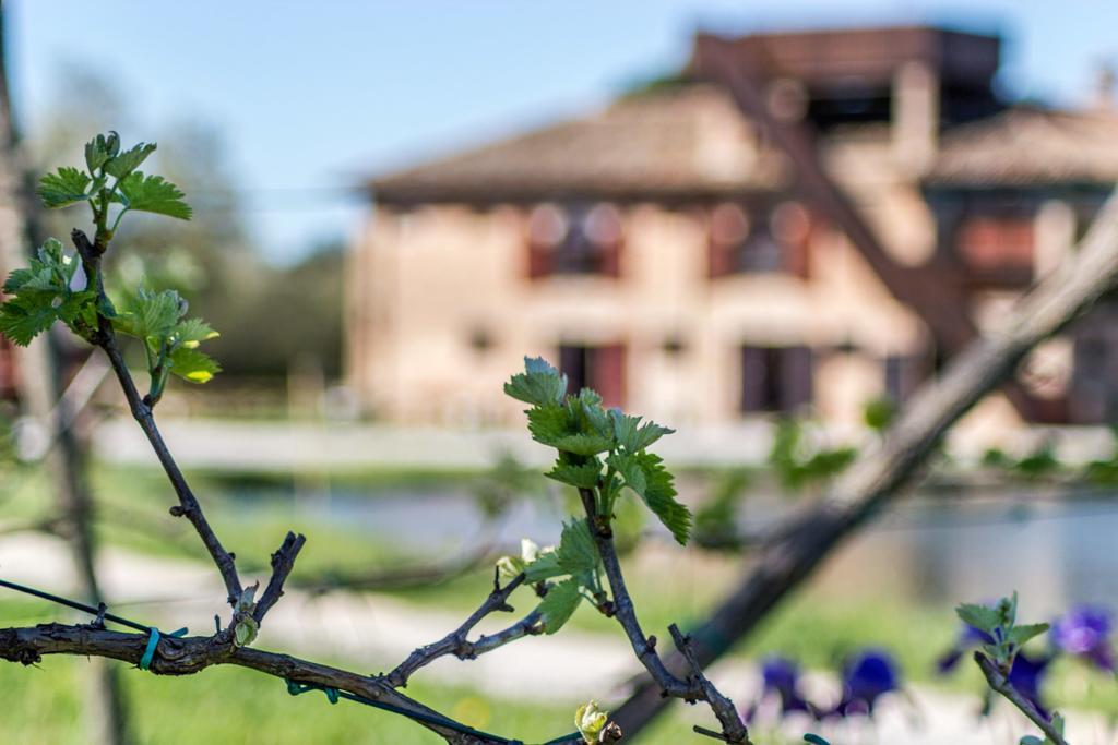 Valgrande Bibione Casone Villa Exterior foto